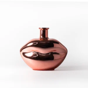 big diffuser bottle (2)